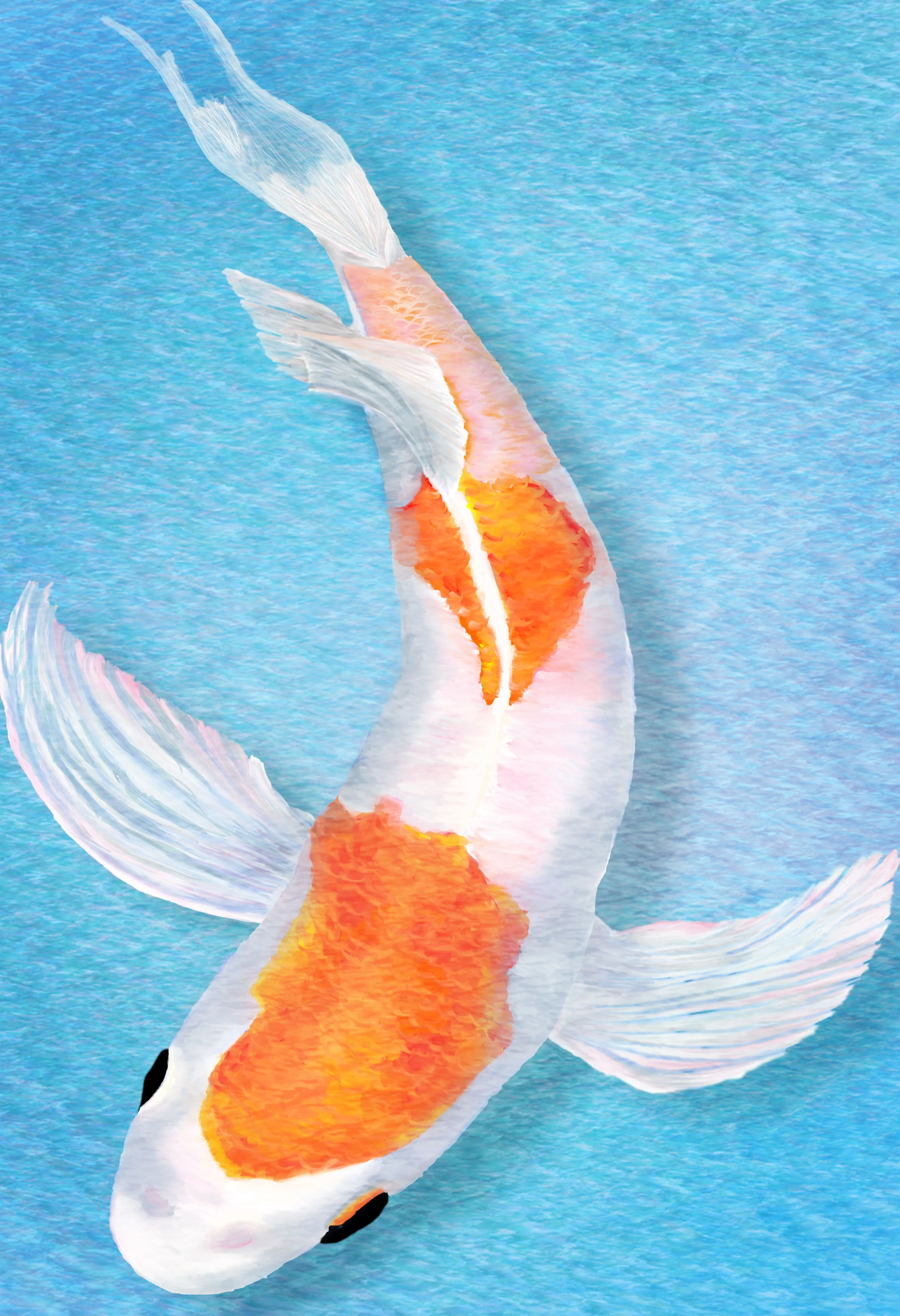 Digital art - koi fish