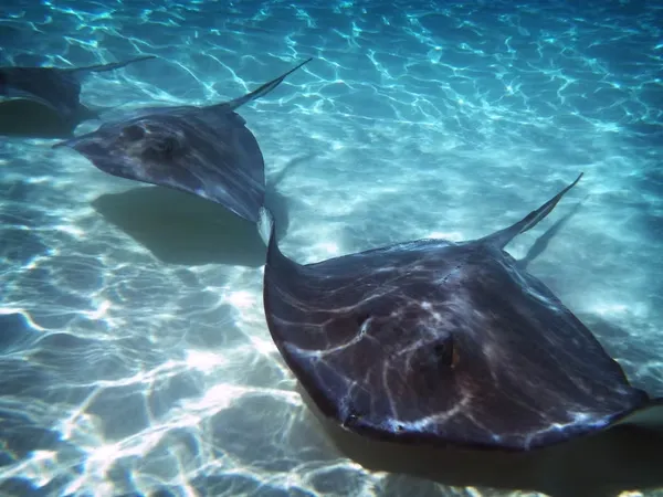 Landscape photography - turquoise water