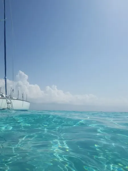 Landscape photography - palm trees